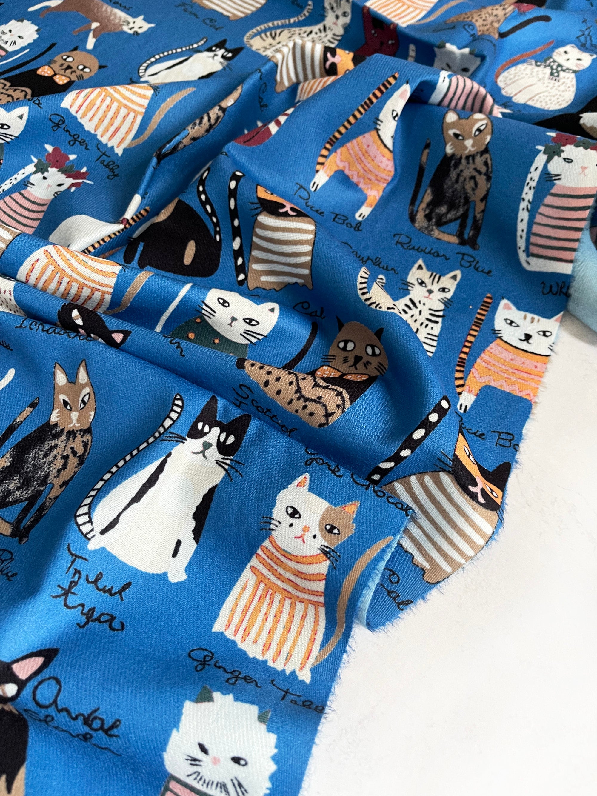 BLUE CAT PRINT LONG LIGHTWEIGHT SCARF