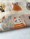 CREAM AND BEIGE LIGHTWEIGHT BORDER CAT SCARF